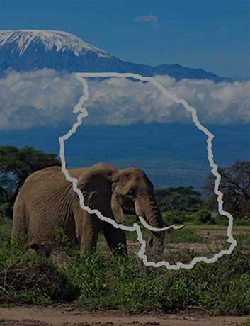 Explore KenyaTanzania 12 Days