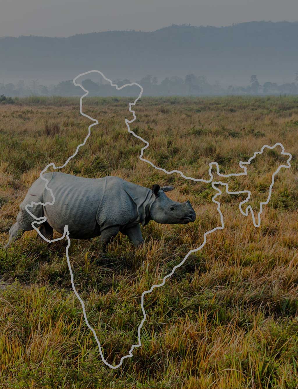 Kaziranga-Home-Image